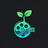 Seedance